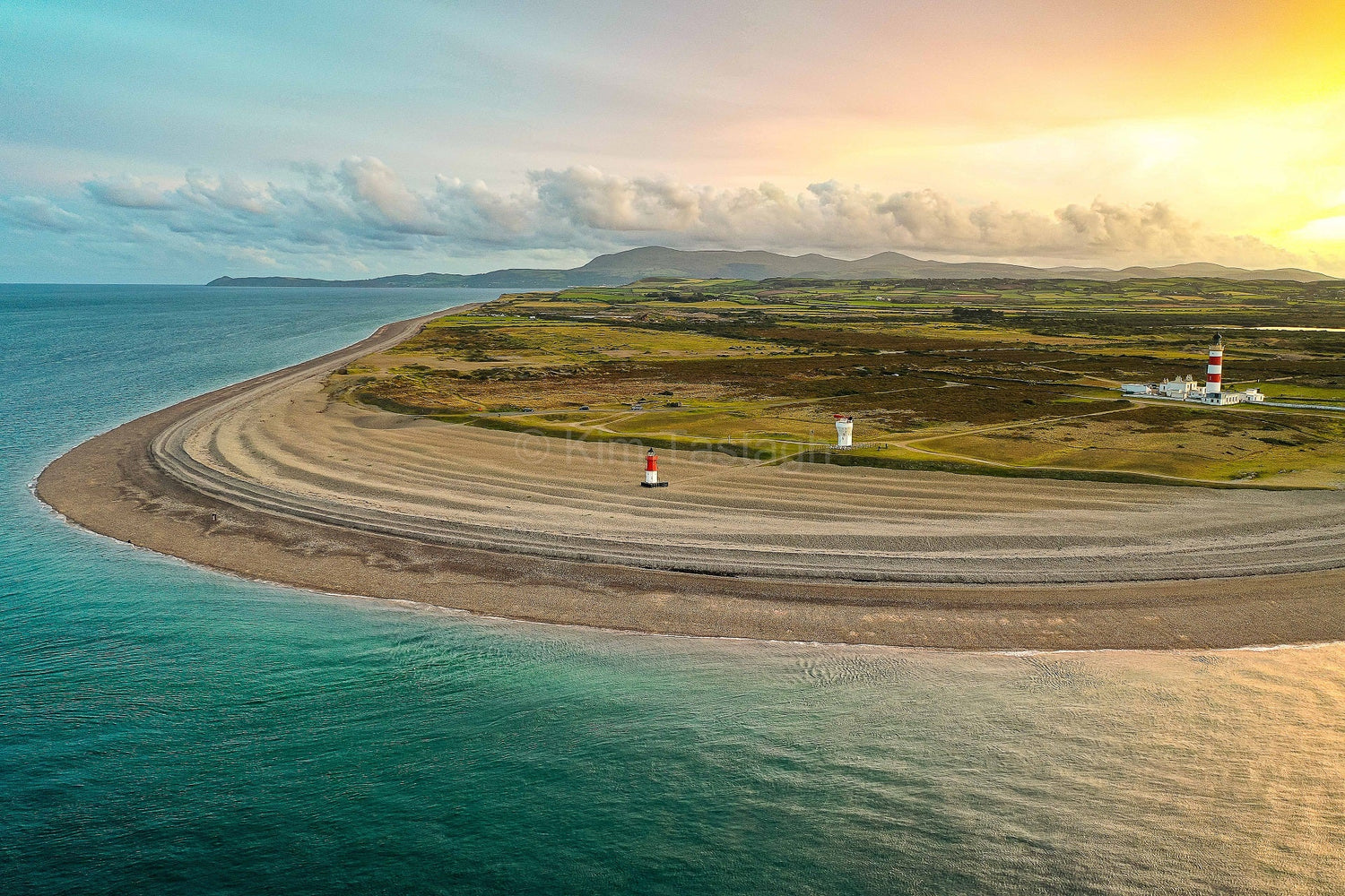 Limited & Collectors' Editions